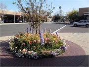 04152011_Lori and Rons_11